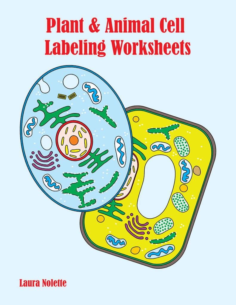 Animal And Plant Cell Labeling Worksheet Answers