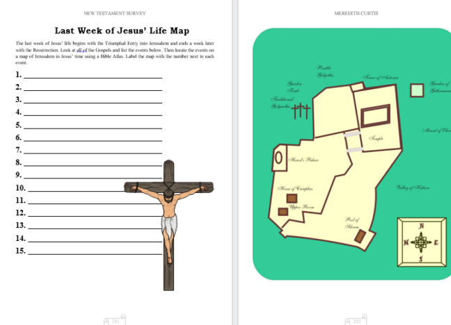 New Testament Survey - Image 9